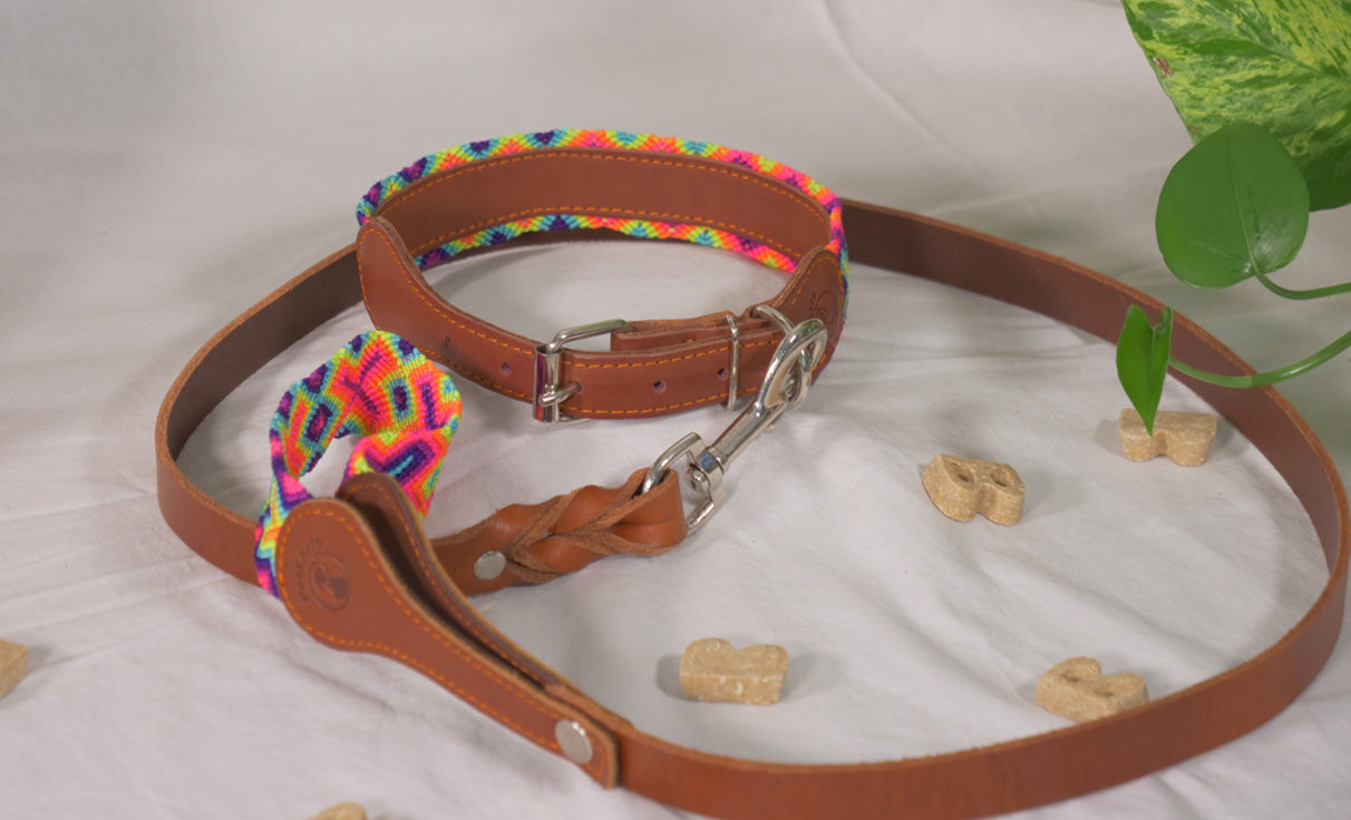 Large Collar and Leather Leash Set