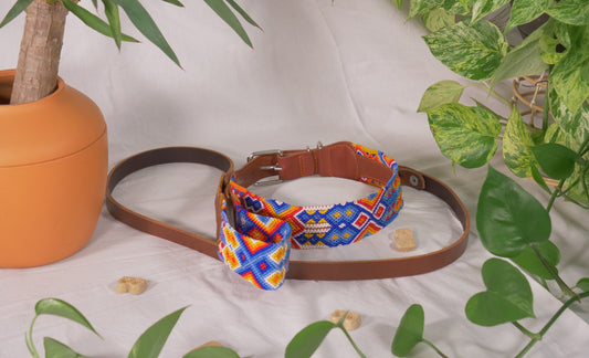 Large Collar and Leather Leash Set